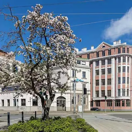 Homey 1br Loft In Old Town