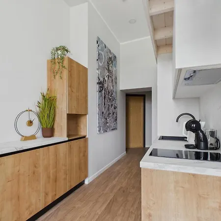 Homey 1br Loft In Old Town Apartman Riga