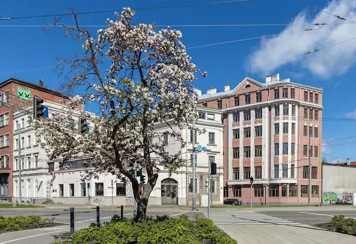 Homey 1br Loft In Old Town